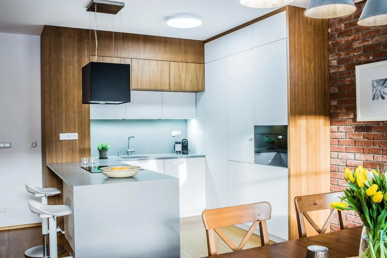 Savoy Luxury Apartment Spindleruv Mlyn